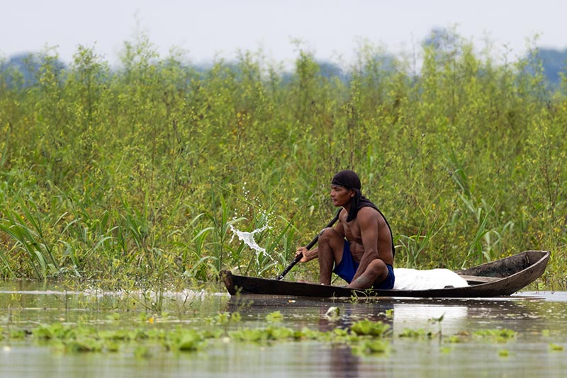 Amazonas