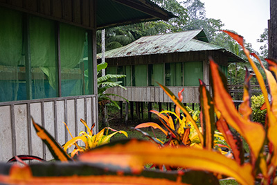 Menú Amazonas