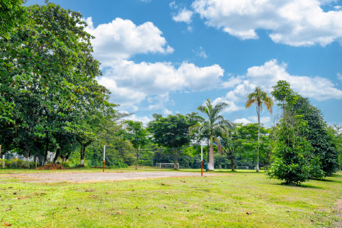 Hotel Las Palmeras